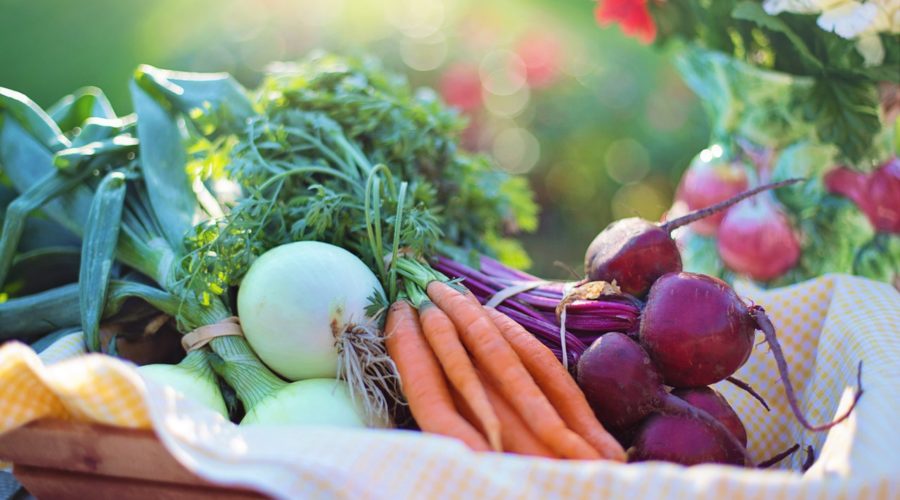 Fresh vegetables in basket - food benefits for skin