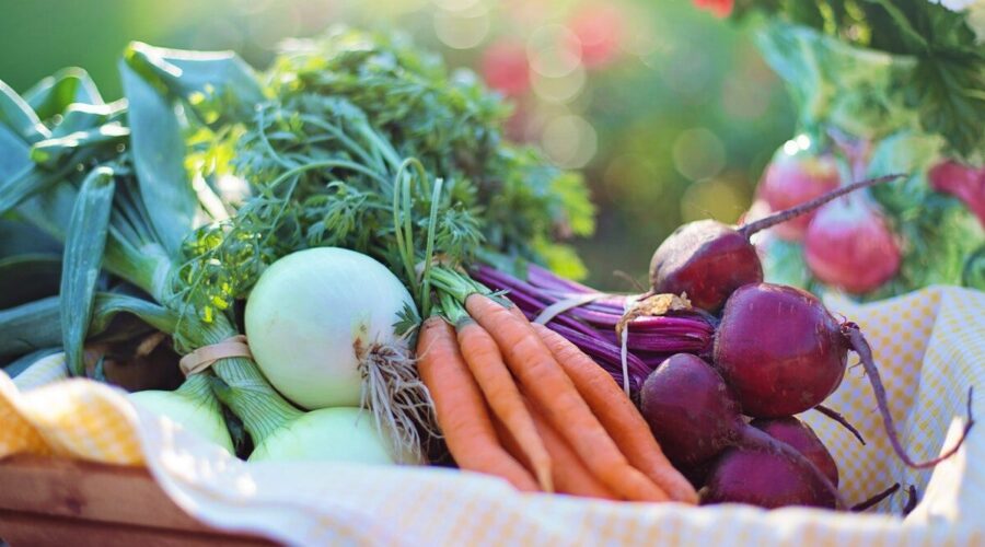 Fresh vegetables in basket - food benefits for skin