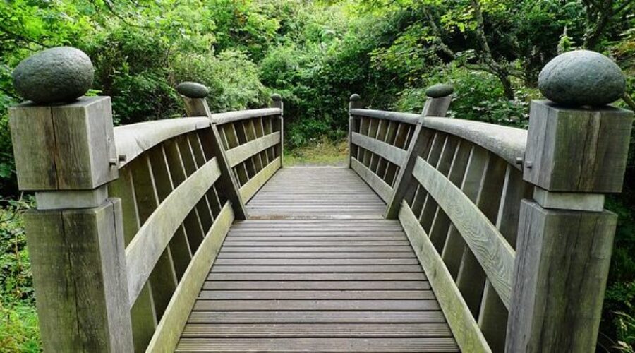 Wooden bridge in forest - dupixent alternatives