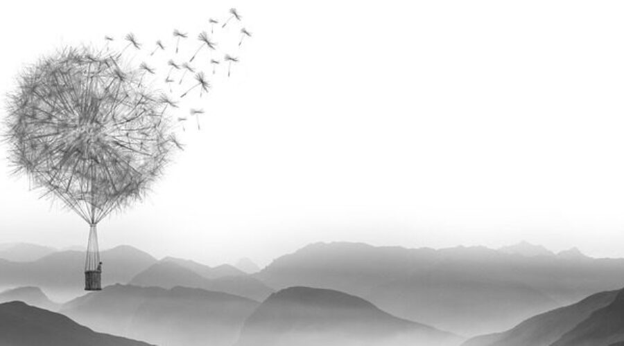 Black and white digital drawing dandelion hot air balloon - wind herbal medicine