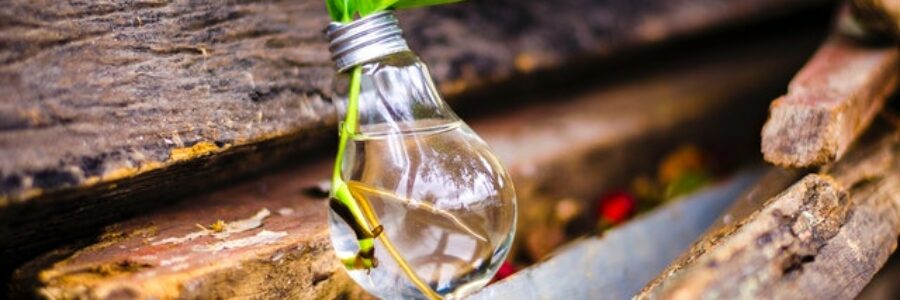 Empty lightbulb with plant sprout on wood - best eczema treatments ranked