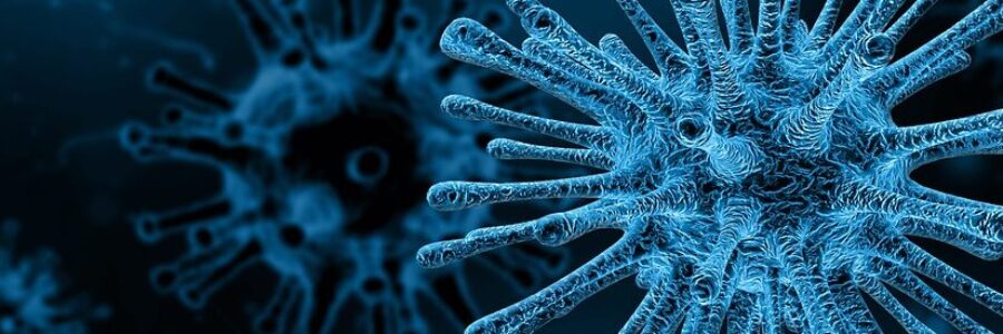 Blue microscopic image of organism - Eczema Herpeticum results
