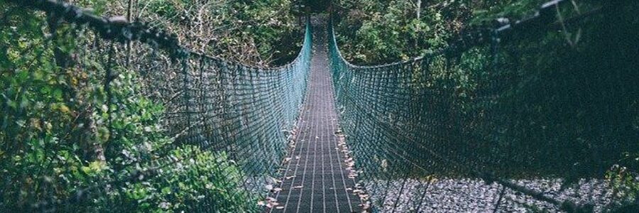 Suspended bridge in forest - Cyclosporine withdrawal