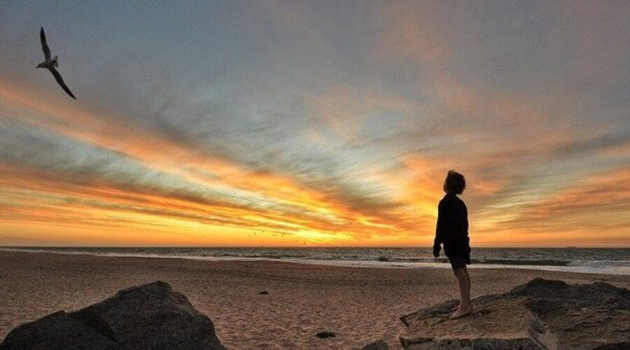 Person on beach at sunset watching bird soar - psoriasis alternative medicine