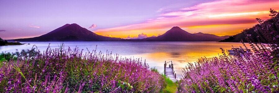 Lavender field with dock, water, and mountains at sunset - Nodular acne and herbal medicine
