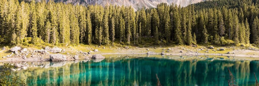 Serene water, forest, mountain range - Psoriasis Herbal Medicine