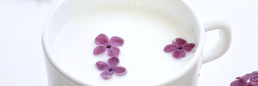 Are All Plant-Based Milks Created Equal?