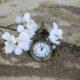 What Role Does Your Circadian Rhythm Play in Your Health?