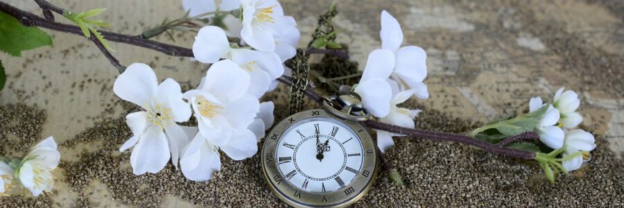 circadian rhythm