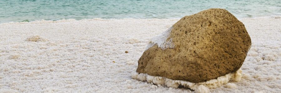 dead sea shore