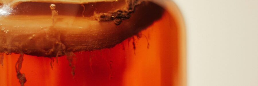 kombucha