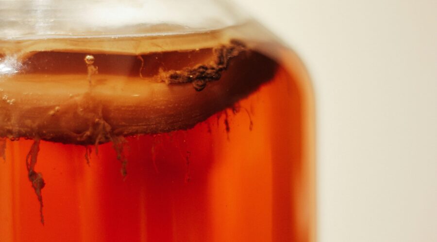 kombucha